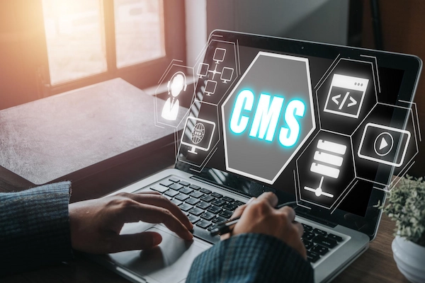 Why Choose Our Impressive Cms Development Services